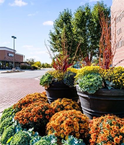 Gallery Image Fall_Enhancements_Corp_(4).jpg