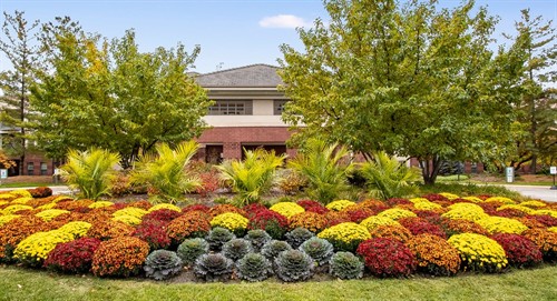 Gallery Image Flower_Enhancements_Corp_(11).jpg