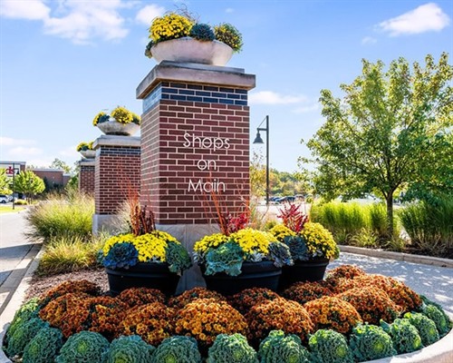 Gallery Image shops_on_main_fall_disp.jpg
