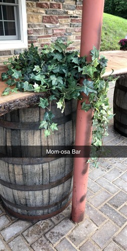 “A little rustic, a little radiant… the Momosa Bar awaits.