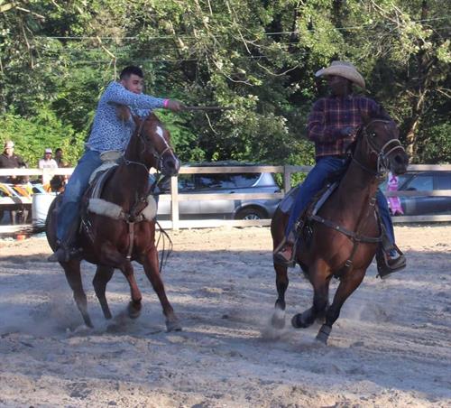 Rodeo