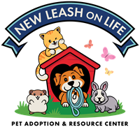 New Leash on Life