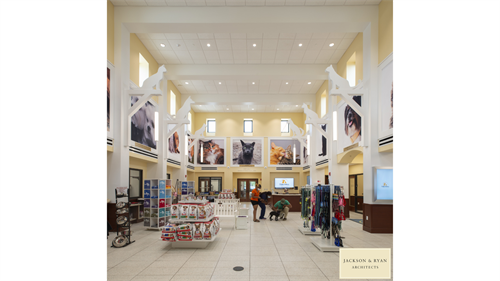 Concept image of adoption lobby