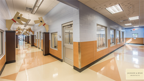 Concept image of adoptable dog area