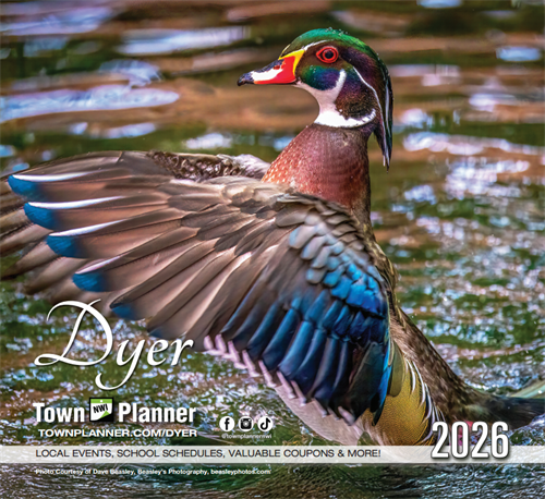 Gallery Image Screenshot_2026-03-31_134250.png