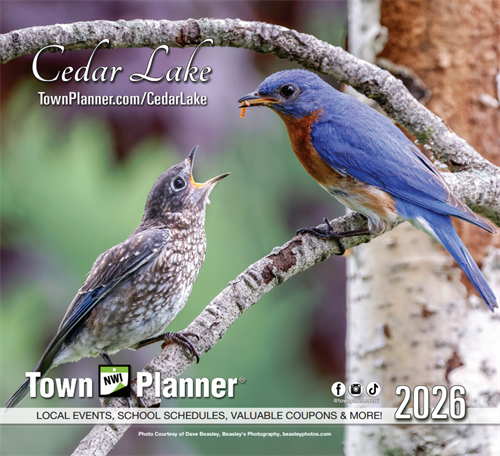 Gallery Image Screenshot_2026-03-31_134506.png