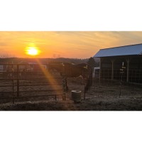 2026 Learning Tour Cedar Springs Therapeutic Ranch