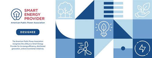 Smart Energy Provider