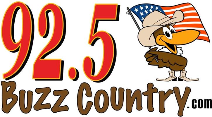Buzz Country 92.5 WMBZ / WIBD 101.3 FM & 1470 AM