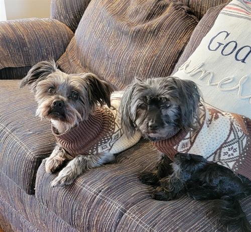 Gallery Image IMG_0681.jpeg