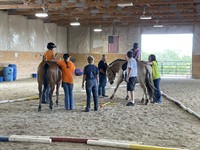 Cedar Springs Therapeutic Ranch