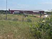 Cedar Springs Therapeutic Ranch