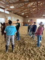 Cedar Springs Therapeutic Ranch