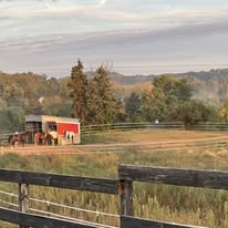 Cedar Springs Therapeutic Ranch Cedar Springs Therapeutic Ranch