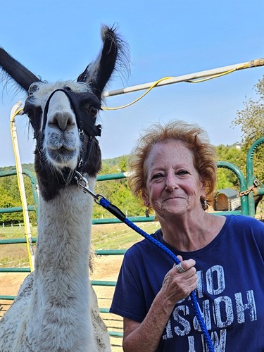 Our Stable Moments Coordinator Jules and our llama Cho-Co