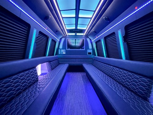 24 passenger party bus