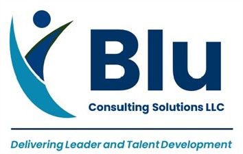 Blu Consulting Solutions LLC
