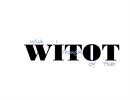 WITOT, LLC (Wish I Thought of That)