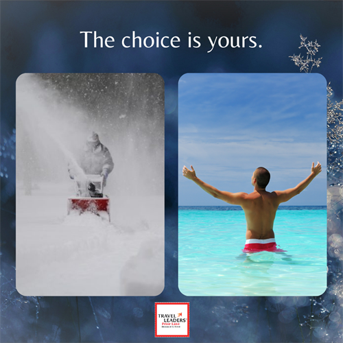 Gallery Image The_choice_is_yours..png