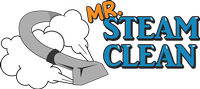 Mr. Steam Clean LLC