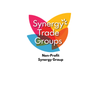 Non-Profit Synergy Group