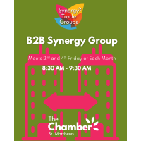 B2B Synergy Group
