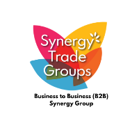 B2B Synergy Group