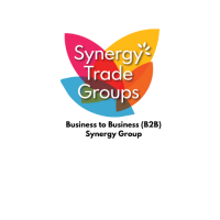 B2B Synergy Group