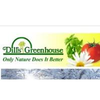 Ladies and Lads Night Out at Dill's Greenhouse