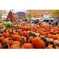 Senior Fun Trip to the Circleville Pumpkin Show