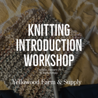 Knitting Introduction Workshop