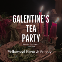 Galentine's Tea Party