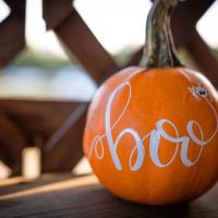 Pumpkin Painting at Square Canvas