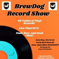 Vinyl Record Show