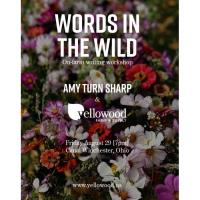 Words in the Wild
