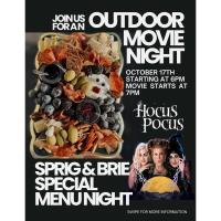 Outdoor Movie Night
