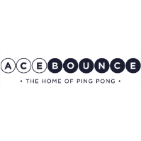 Networking Business After Hours at AceBounce