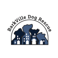 Barkville Dog Rescue - Jasper