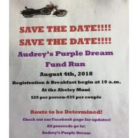 Fund Run for Audrey's Purple Dream
