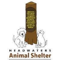Headwaters Animal Shelter Pet Supply Sale