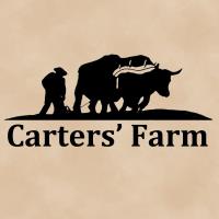 Carters' Farm Fall Festival