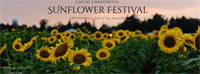 Sunflower Festival