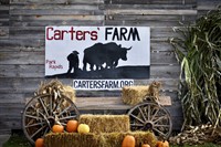 Carters' Farm