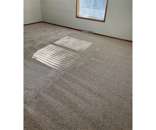 Gallery Image Untitled_design_(5).png