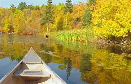 Gallery Image canoe_on_lake.jpg