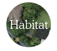 Habitat Webinar: ADU Building 101