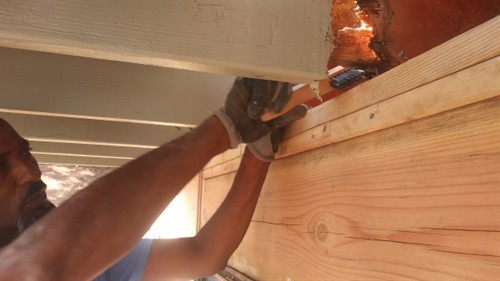 Gallery Image San_Rafael_Dry_Rot_Deck_Repairs_lower_deck_full_wall_reframing_and_joist_repair_prep.jpg