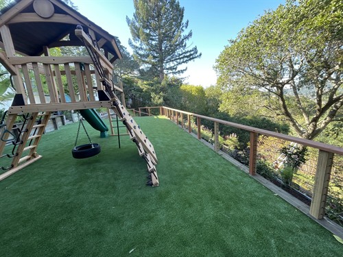 Lawn, Stairs, & Fence.