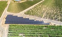 Honig Vineyard and Winery in Napa Valley Boosts Sustainable Viticulture with SolarCraft  Solar Panel Installation