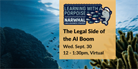 Learning With a Porpoise: The Legal Side of the AI Boom